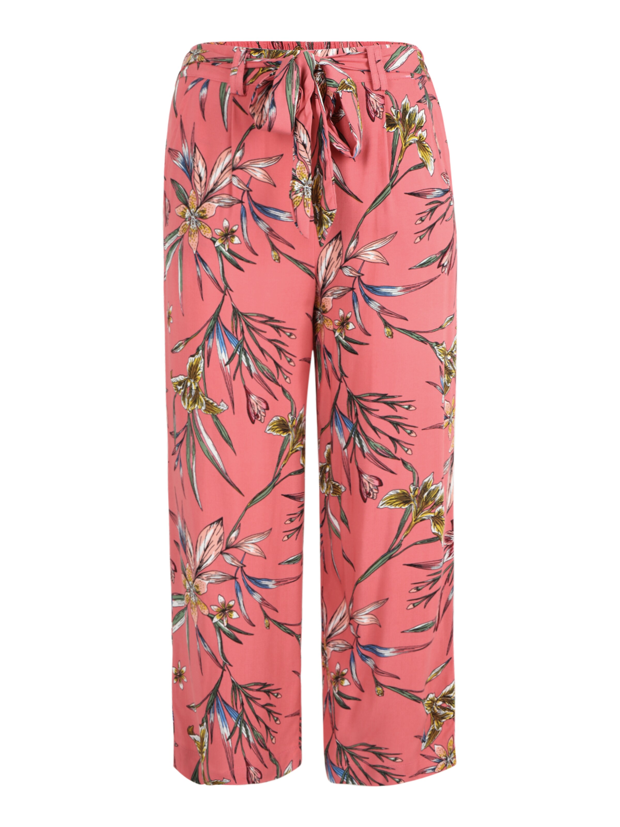 Only hose nova Clearance